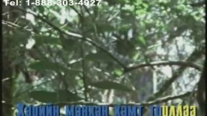 Karaoke Daichin nohoriin duu Karaoke   Дайчин нөхөрийн дуу Монгол Караоке