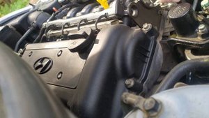 Гидроопора солярис,ты в порядке?