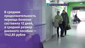 Более 300 тыс. больничных листов оплатил Соц. фонд России по Белгородской области с начала 2023 г