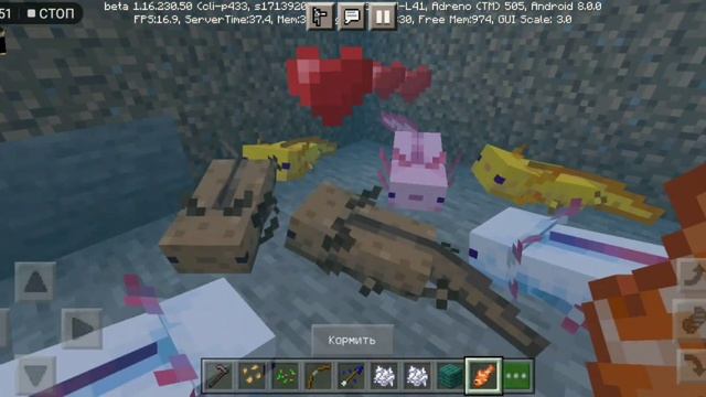 Аксолотли В Майнкрафт Пе 1.17 смотреть онлайн