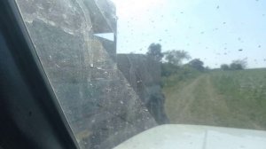 Новый материал из Европы. Опыление. Обработки от варроатоза.