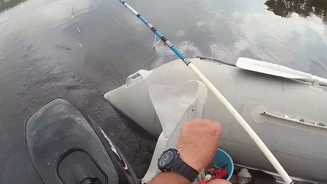 Обзор рыбных мест 17 08 2019 г №52 р Иртыш г Омск Рыбалка спиннингом, троллинг в зат СРЗ смотреть онлайн