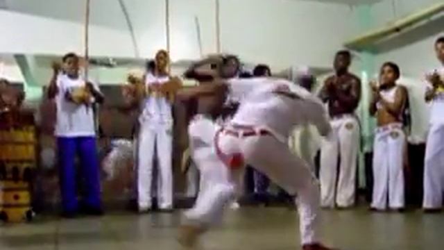 RODA NA FORMA IDEAL - Prof Pedigree 20/3/2004 !!! смотреть онлайн