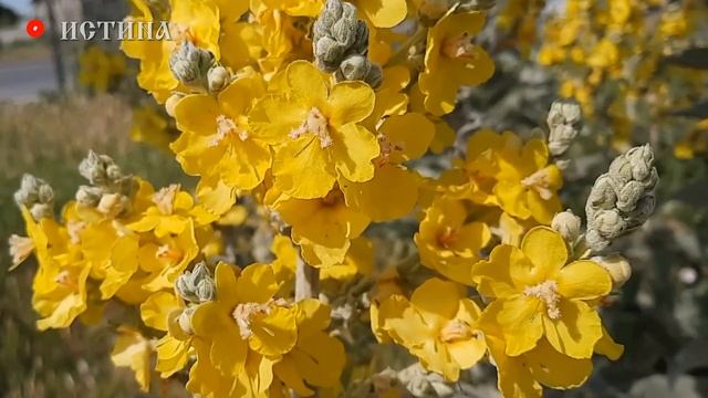 28 Мая - Пахом Теплый. Народный праздник. Что нельзя делать? Приметы и традиции, Заговоры