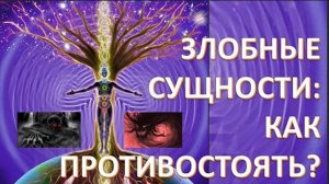 Духовные силы в противодействии негативным паразитам. Шмидт Давид Николаевич (Швейцария)