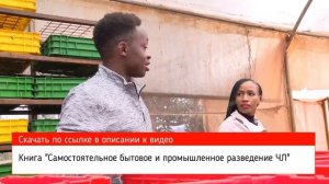 Черная львинка в Кении. Часть 1. На ночь не смотреть