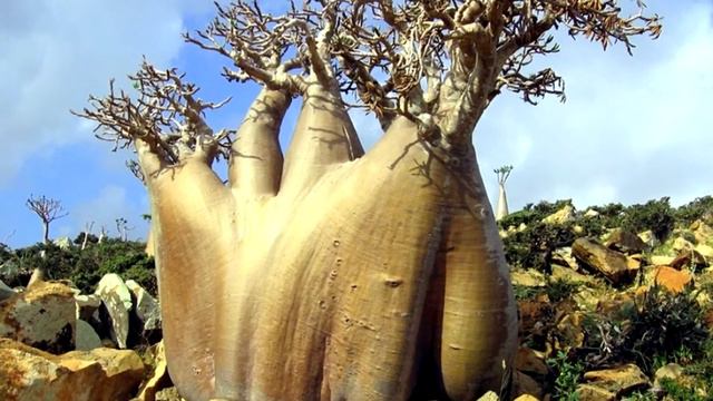 САМЫЙ НЕОБЫЧНЫЙ И НЕТРОНУТЫЙ ЧЕЛОВЕКОМ ОСТРОВ В МИРЕ смотреть онлайн