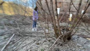 Старинная усадьба. Поместье Рычкова. Оренбургская область.