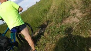 17.06.2018 Афанасово-1.mp4