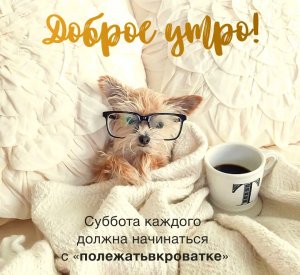 Доброе утро субботы! Хороших выходных!