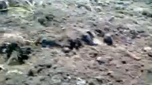 Самодельная фреза Т-25 Семенов Александр