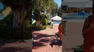 Delphin Botanik Platinum