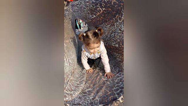 Video.Guru_20240412_210749842 смотреть онлайн