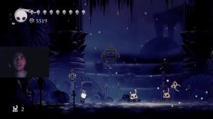 100 ФАКТОВ о Hollow Knight | которые вы и так знаете