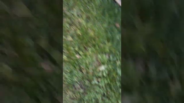 Натяжения ручника на форд мондео 2. 18.TD смотреть онлайн