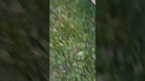 Натяжения ручника на форд мондео 2.  18.TD