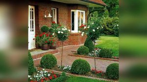 Как правильно оформить вход на участок