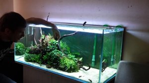 Фарш для аквариумных рыб на заметку новичкам. Плюсы и минусы