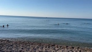 Абхазия, пляжи лидзава - рыбзавод. Чистая вода, прекрасное место