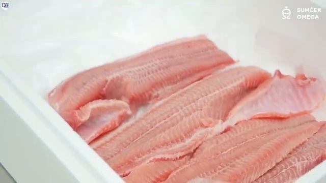 ?? मछली पकड़ने की एसी तकनीक ?? आपने कभी नही देखी होगी | Fish Farming Process.?? смотреть онлайн