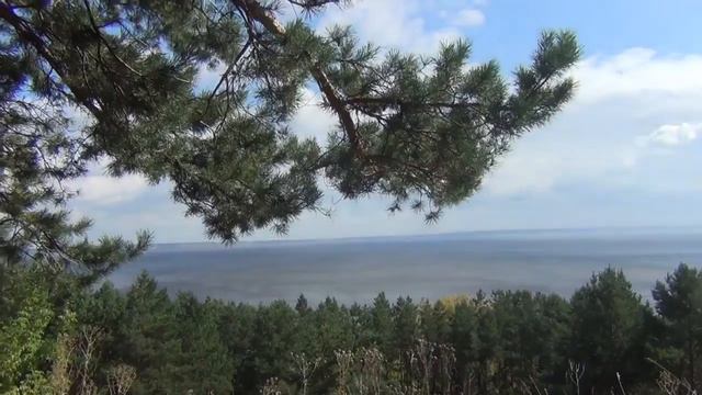 Прогулка по роще Винновской. Ульяновск. Галина.  сентябрь2017.