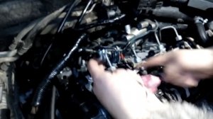 Диз топливо попадает в масло Opel astra g 1.7 dti