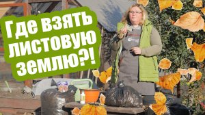 Будет готова к весне! Листовая земля своими руками всего за полгода!