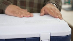 НОВИНКА — две линейки жестких пластиковых контейнеров от бренда Camping World