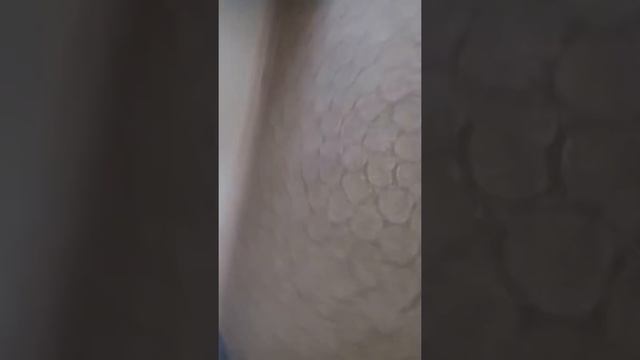 Мой первый гироскутер? смотреть онлайн