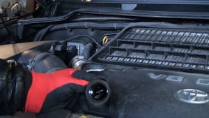 МАСЛОЗАЛИВНАЯ ГОРЛОВИНА | ВОТ О ЧЕМ ОНА МОЖЕТ РАССКАЗАТЬ