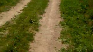 Поездка на мотороллере Муравей (часть 3)