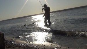 Неудачи продолжаются... УТОПИЛ СНАСТИ! Рыбалка на сазана. ОБЬ.. 1 серия.