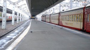 СКОРЫЙ ФИРМЕНЫЙ ПОЕЗД № 54 "ГРАНД ЭКСПРЕСС " ПРИБЫВАЕТ В САНКТ - ПЕТЕРБУРГ.