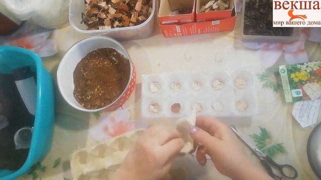 Время рассады,как я это делаю. смотреть онлайн