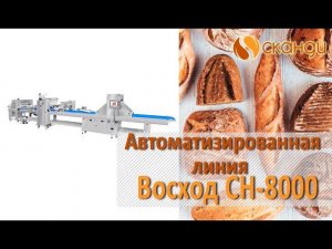 Автоматизированная линия "Восход СН-8000" производство изделия гипфель с сыром
