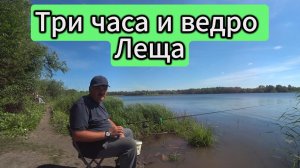 Три часа и ведро Леща