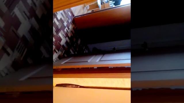 Как нужно общаться с животными смотреть онлайн