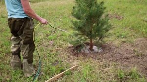 Поселок Богатырское. Что нового появилось в поселке?