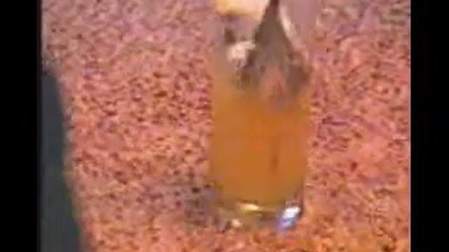 Попугай в стакане смотреть онлайн