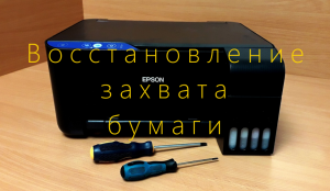 Epson L1100, L3110, L3150, L4150 не берёт бумагу. Как заменить ролики захвата. Инструкция.