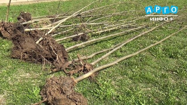 Сафоновский район присоединился к областному субботнику.