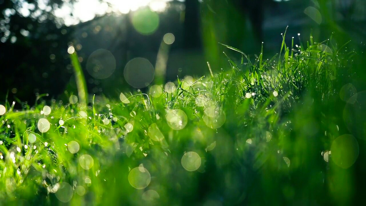 Успокаивающая музыка, снимает напряжение и тревогу, нормализует сердечный ритм смотреть онлайн