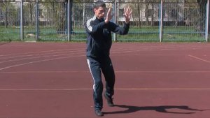 Тайцзи-цюань, Чень, 16 шагов.