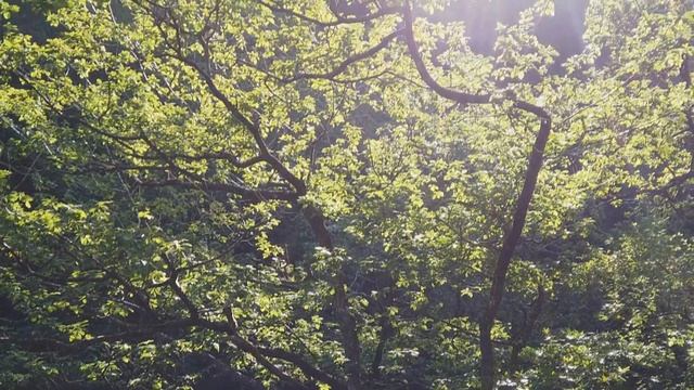 Просто включите и зарядите воду на исцеление смотреть онлайн