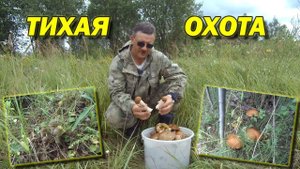 ТИХАЯ ОХОТА. ГРИБЫ ЕСТЬ!