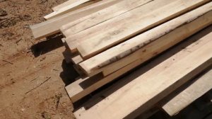 Обрезная доска Осина