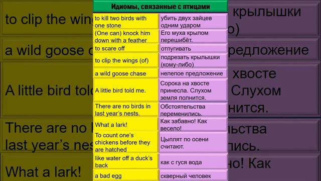 АНГЛИЙСКИЙ НА ЧИЛЕ! Идиомы, связанные с птицами