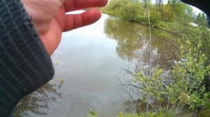 Fario NT morm S -2020 года. 1.8 рост 0.5 - 2 тест + леска.