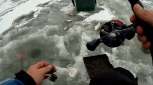 ПРИКОРМИЛ И НАЛОВИЛ. Подледный фидер на реке