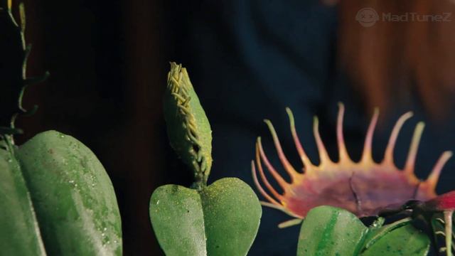 WEDNESDAY Playing Cello (Full Scene) | Wednesday plays oversized violin смотреть онлайн